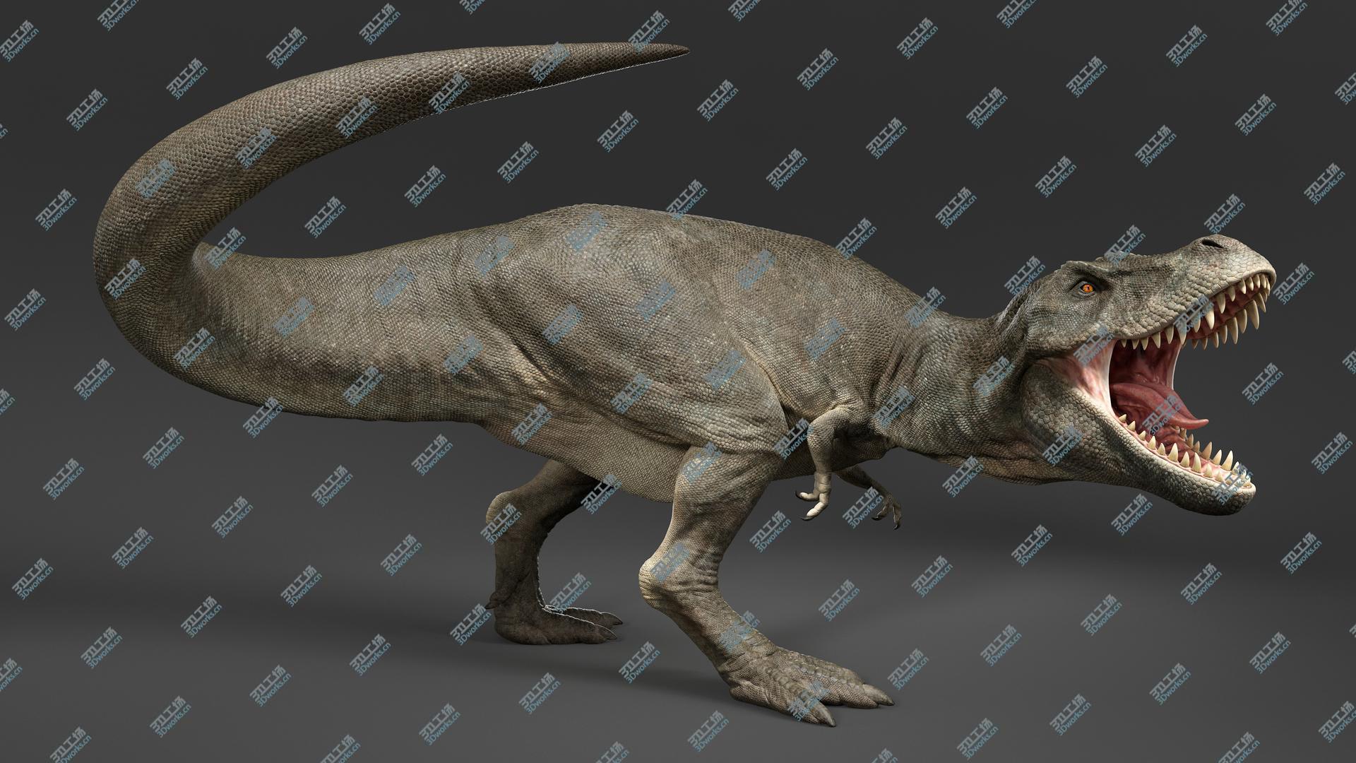images/goods_img/20210319/3D Tyrannosaurus Rex Rigged/5.jpg